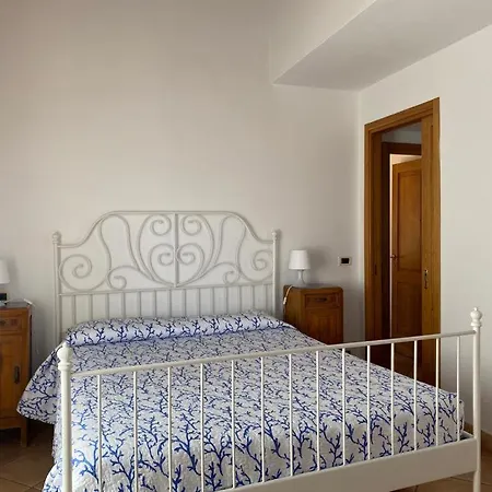 Alloro 1 *